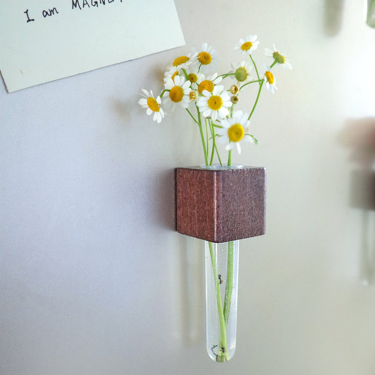 Mini Vase Magnets